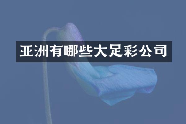 亚洲有哪些大足彩公司