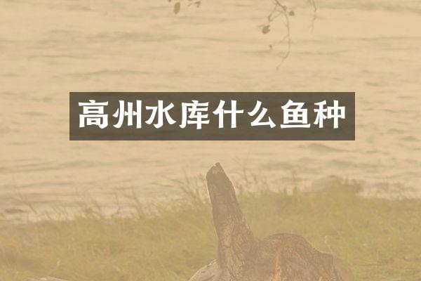高州水库什么鱼种