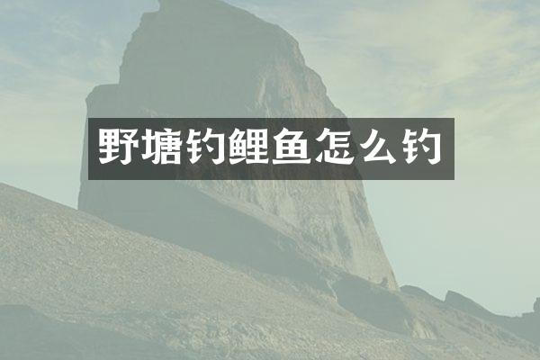 野塘钓鲤鱼怎么钓