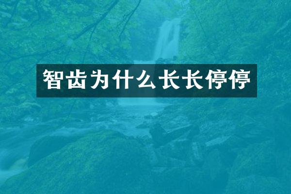 智齿为什么长长停停
