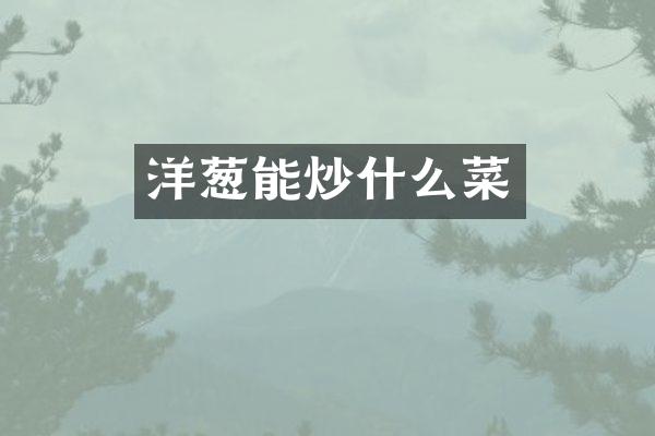 洋葱能炒什么菜