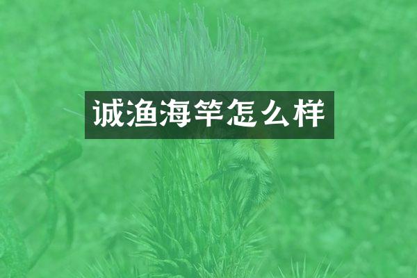 诚渔海竿怎么样