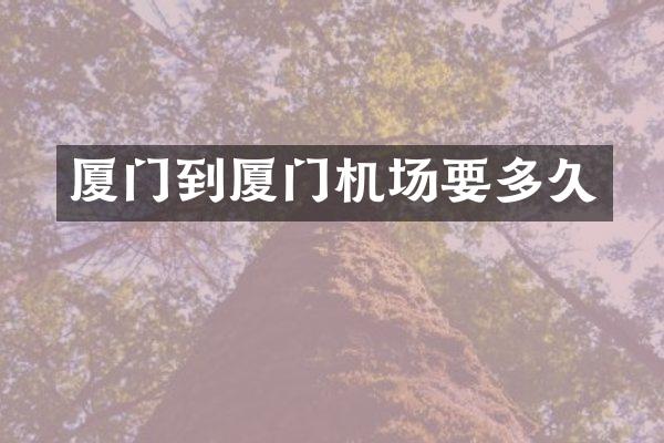 厦门到厦门机场要多久