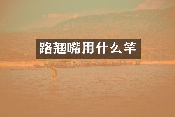 路翘嘴用什么竿