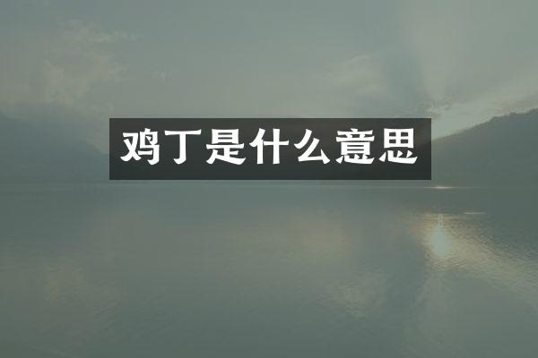 鸡丁是什么意思