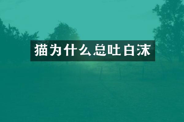 猫为什么总吐白沫
