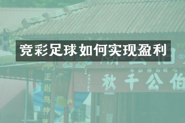 竞彩足球如何实现盈利