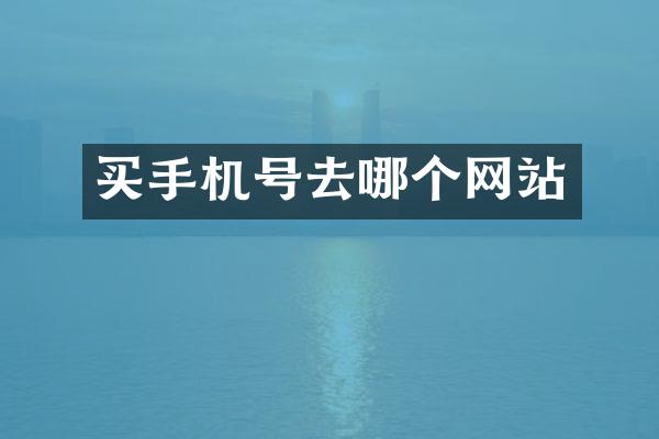 买手机号去哪个网站