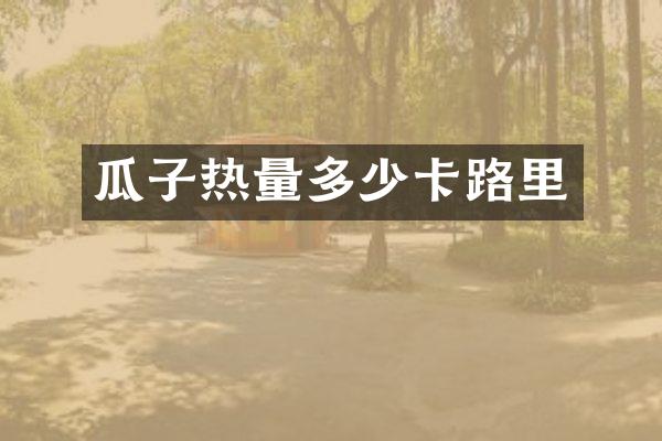 瓜子热量多少卡路里