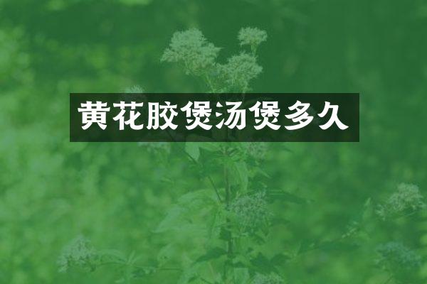 黄花胶煲汤煲多久