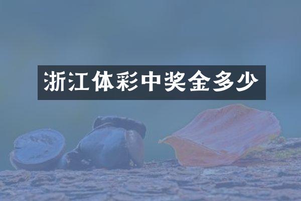浙江体彩中奖金多少