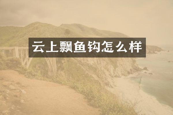 云上飘鱼钩怎么样