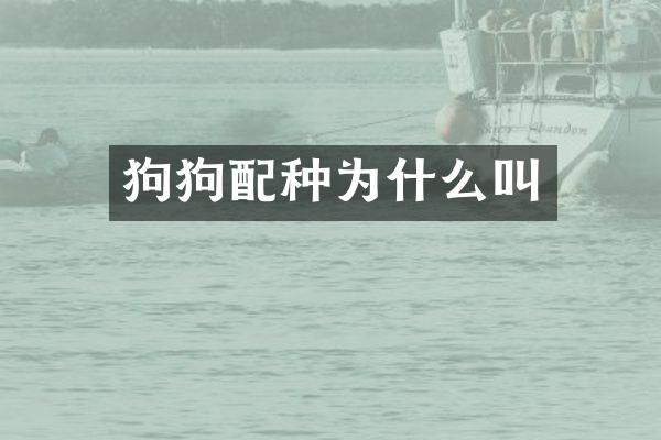 狗狗配种为什么叫
