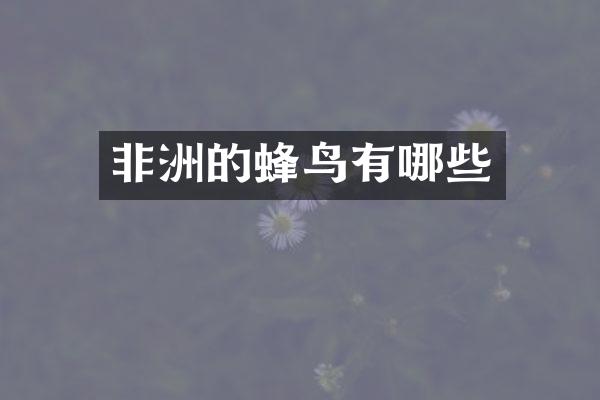 非洲的蜂鸟有哪些