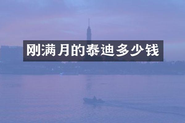 刚满月的泰迪多少钱