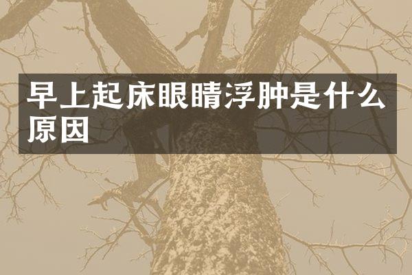 早上起床眼睛浮肿是什么原因