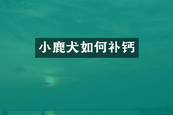 小鹿犬如何补钙