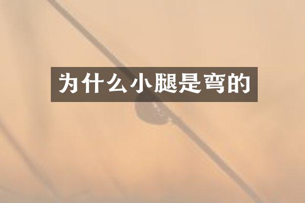 为什么小腿是弯的