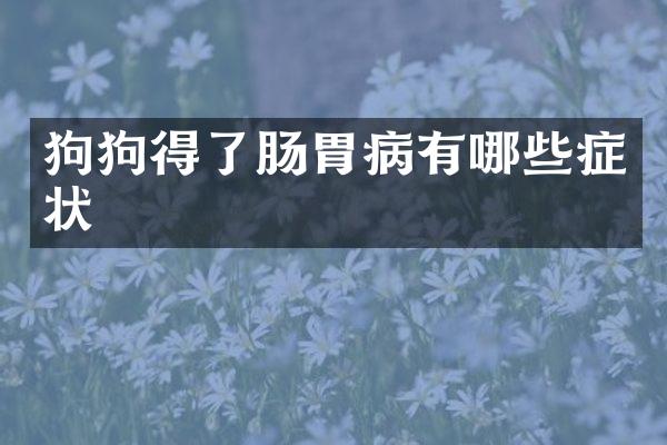 狗狗得了肠胃病有哪些症状