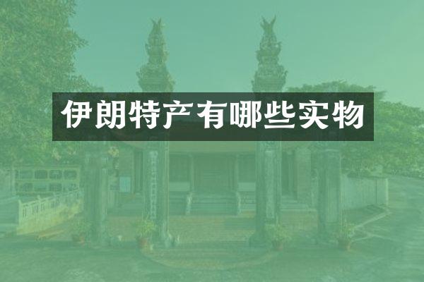 伊朗特产有哪些实物