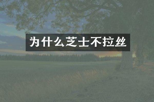 为什么芝士不拉丝