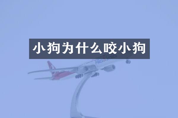 小狗为什么咬小狗