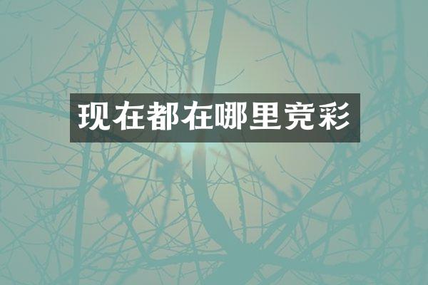 现在都在哪里竞彩