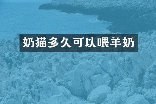 奶猫多久可以喂羊奶