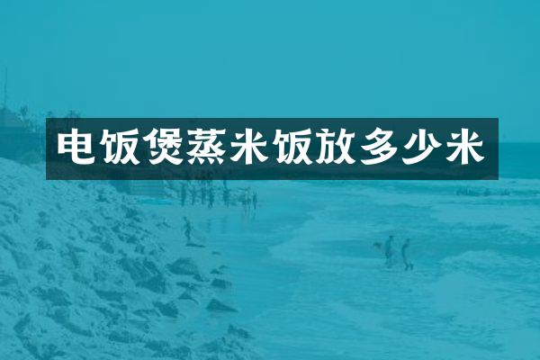 电饭煲蒸米饭放多少米