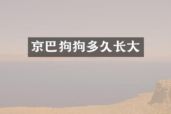 京巴狗狗多久长大