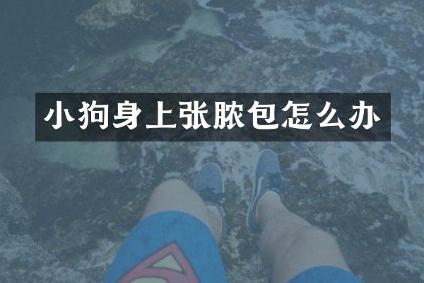 小狗身上张脓包怎么办