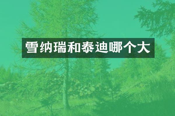 雪纳瑞和泰迪哪个大
