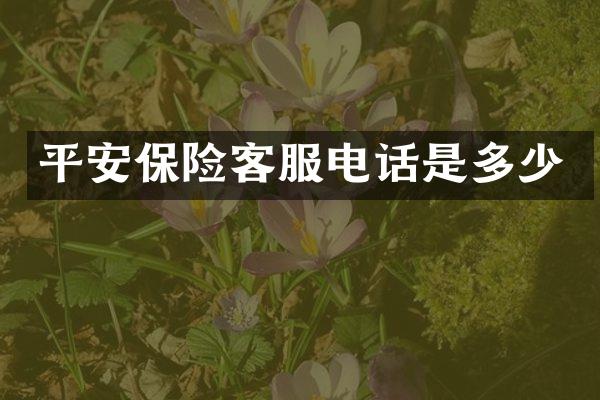 平安保险客服电话是多少