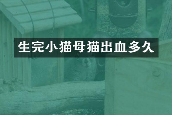 生完小猫母猫出血多久