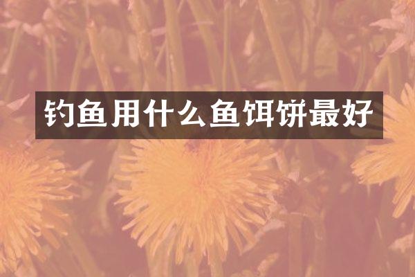 钓鱼用什么鱼饵饼最好