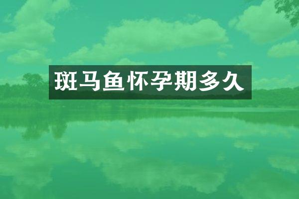 斑马鱼怀孕期多久