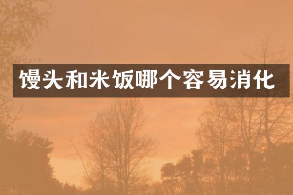 馒头和米饭哪个容易消化