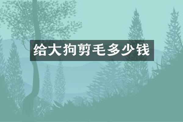 给大狗剪毛多少钱