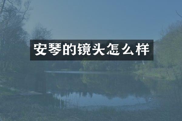 安琴的镜头怎么样