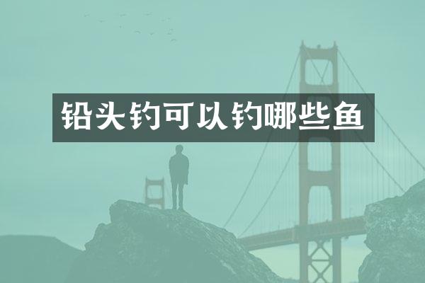 铅头钓可以钓哪些鱼