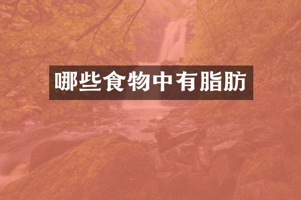 哪些食物中有脂肪