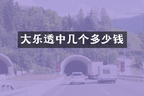 大中几个多少钱