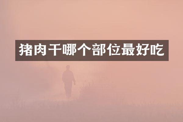 猪肉干哪个部位最好吃