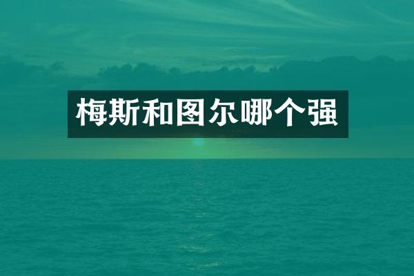 梅斯和图尔哪个强