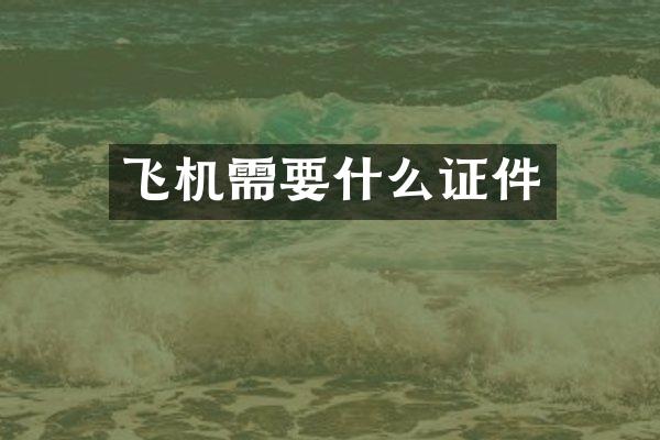 飞机需要什么证件