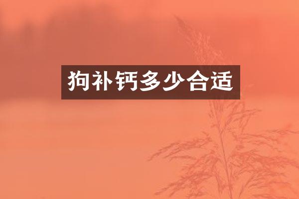 狗补钙多少合适