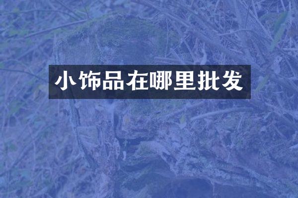 小饰品在哪里批发