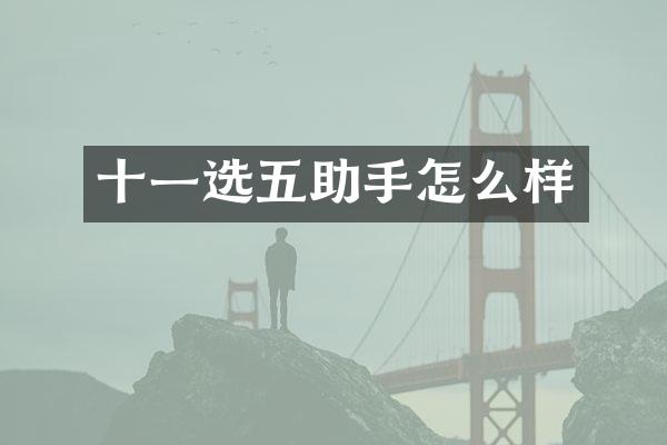 十一选五助手怎么样