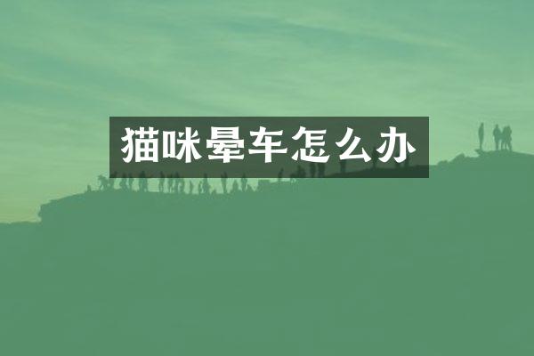 猫咪晕车怎么办