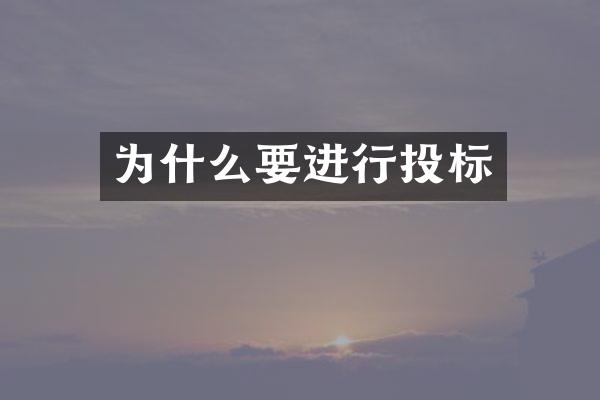 为什么要进行投标